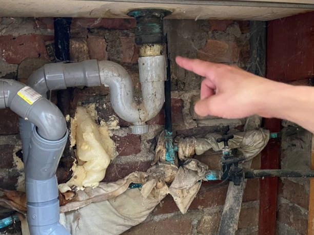 Best Local water damage restoration  in Chester, SC